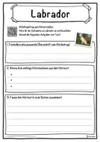 Vorschau - Unterrichtsreihen - Labrador Lückentext mit Wortspeicher Hörverstehen und Suchsel - Seite 3