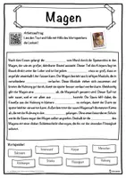 Vorschau - Unterrichtsreihen - Magen Lückentext mit Wortspeicher Hörverstehen und Suchsel - Seite 1