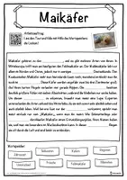 Vorschau - Unterrichtsreihen - Maikäfer Lückentext mit Wortspeicher Hörverstehen und Suchsel - Seite 1