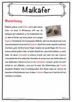Vorschau - Unterrichtsreihen - Maikäfer Lückentext mit Wortspeicher Hörverstehen und Suchsel - Seite 2