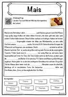 Vorschau - Unterrichtsreihen - Mais Lückentext mit Wortspeicher Hörverstehen und Suchsel - Seite 1