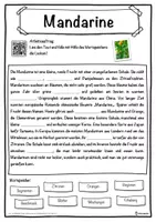 Vorschau - Unterrichtsreihen - Mandarine Lückentext mit Wortspeicher Hörverstehen und Suchsel - Seite 1