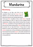Vorschau - Unterrichtsreihen - Mandarine Lückentext mit Wortspeicher Hörverstehen und Suchsel - Seite 2