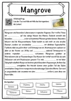 Vorschau - Unterrichtsreihen - Mangrove Lückentext mit Wortspeicher Hörverstehen und Suchsel - Seite 1