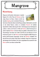Vorschau - Unterrichtsreihen - Mangrove Lückentext mit Wortspeicher Hörverstehen und Suchsel - Seite 2