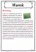 Vorschau - Unterrichtsreihen - Maniok Lückentext mit Wortspeicher Hörverstehen und Suchsel - Seite 2