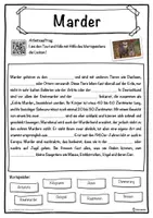 Vorschau - Unterrichtsreihen - Marder Lückentext mit Wortspeicher Hörverstehen und Suchsel - Seite 1