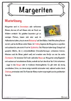 Vorschau - Unterrichtsreihen - Margeriten Lückentext mit Wortspeicher Hörverstehen und Suchsel - Seite 2