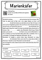 Vorschau - Unterrichtsreihen - Marienkäfer Lückentext mit Wortspeicher Hörverstehen und Suchsel - Seite 1