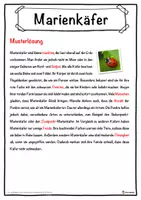 Vorschau - Unterrichtsreihen - Marienkäfer Lückentext mit Wortspeicher Hörverstehen und Suchsel - Seite 2