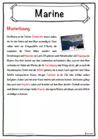 Vorschau - Unterrichtsreihen - Marine Lückentext mit Wortspeicher Hörverstehen und Suchsel - Seite 2