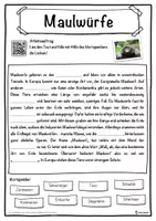 Vorschau - Unterrichtsreihen - Maulwürfe Lückentext mit Wortspeicher Hörverstehen und Suchsel - Seite 1