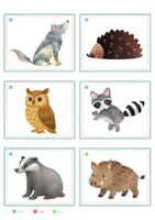 Vorschau - Spiele - Nachtaktive Tiere – Bildkarten | Tiere der Nacht | 20 Karten mit Artikelpunkten in zwei Größen | Kita Grundschule - Seite 3