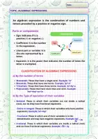 Vista previa - Refuerzo / NEE / Materiales de apoyo - Agebraic Expressions Lesson: Theory and Classification. - Portada