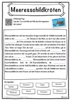 Vorschau - Unterrichtsreihen - Meeresschildkröten Lückentext mit Wortspeicher Hörverstehen und Suchsel - Seite 1