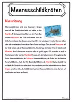 Vorschau - Unterrichtsreihen - Meeresschildkröten Lückentext mit Wortspeicher Hörverstehen und Suchsel - Seite 2