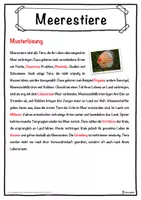 Vorschau - Unterrichtsreihen - Meerestiere Lückentext mit Wortspeicher Hörverstehen und Suchsel - Seite 2