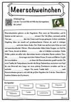 Vorschau - Unterrichtsreihen - Meerschweinchen Lückentext mit Wortspeicher Hörverstehen und Suchsel - Seite 1