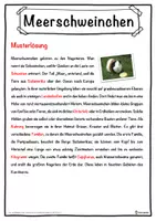 Vorschau - Unterrichtsreihen - Meerschweinchen Lückentext mit Wortspeicher Hörverstehen und Suchsel - Seite 2