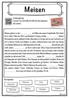 Vorschau - Unterrichtsreihen - Meisen Lückentext mit Wortspeicher Hörverstehen und Suchsel - Seite 1