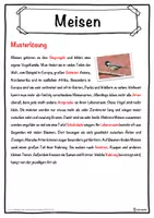 Vorschau - Unterrichtsreihen - Meisen Lückentext mit Wortspeicher Hörverstehen und Suchsel - Seite 2