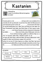 Vorschau - Unterrichtsreihen - Kastanien Lückentext mit Wortspeicher Hörverstehen und Suchsel - Seite 1