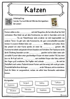 Vorschau - Unterrichtsreihen - Katzen Lückentext mit Wortspeicher Hörverstehen und Suchsel - Seite 1
