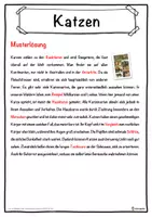 Vorschau - Unterrichtsreihen - Katzen Lückentext mit Wortspeicher Hörverstehen und Suchsel - Seite 2