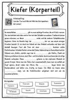 Vorschau - Unterrichtsreihen - Kiefer (Körperteil) Lückentext mit Wortspeicher Hörverstehen und Suchsel - Seite 1