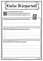Vorschau - Unterrichtsreihen - Kiefer (Körperteil) Lückentext mit Wortspeicher Hörverstehen und Suchsel - Seite 3