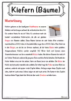 Vorschau - Unterrichtsreihen - Kiefern (Bäume) Lückentext mit Wortspeicher Hörverstehen und Suchsel - Seite 2