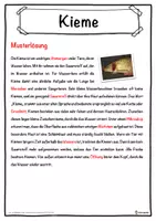 Vorschau - Unterrichtsreihen - Kieme Lückentext mit Wortspeicher Hörverstehen und Suchsel - Seite 2