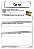 Vorschau - Unterrichtsreihen - Kieme Lückentext mit Wortspeicher Hörverstehen und Suchsel - Seite 3