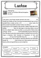 Vorschau - Unterrichtsreihen - Lachse Lückentext mit Wortspeicher Hörverstehen und Suchsel - Seite 1