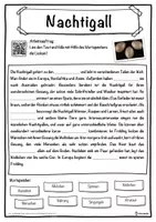 Vorschau - Unterrichtsreihen - Nachtigall Lückentext mit Wortspeicher Hörverstehen und Suchsel - Seite 1