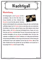 Vorschau - Unterrichtsreihen - Nachtigall Lückentext mit Wortspeicher Hörverstehen und Suchsel - Seite 2