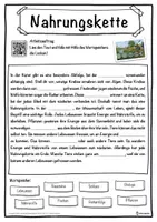 Vorschau - Unterrichtsreihen - Nahrungskette Lückentext mit Wortspeicher Hörverstehen und Suchsel - Seite 1