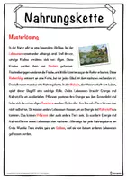 Vorschau - Unterrichtsreihen - Nahrungskette Lückentext mit Wortspeicher Hörverstehen und Suchsel - Seite 2