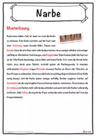 Vorschau - Unterrichtsreihen - Narbe Lückentext mit Wortspeicher Hörverstehen und Suchsel - Seite 2