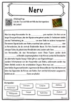 Vorschau - Unterrichtsreihen - Nerv Lückentext mit Wortspeicher Hörverstehen und Suchsel - Seite 1