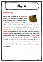 Vorschau - Unterrichtsreihen - Nerv Lückentext mit Wortspeicher Hörverstehen und Suchsel - Seite 2