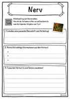 Vorschau - Unterrichtsreihen - Nerv Lückentext mit Wortspeicher Hörverstehen und Suchsel - Seite 3