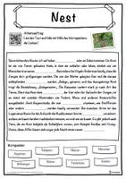 Vorschau - Unterrichtsreihen - Nest Lückentext mit Wortspeicher Hörverstehen und Suchsel - Seite 1