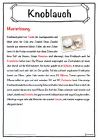 Vorschau - Unterrichtsreihen - Knoblauch Lückentext mit Wortspeicher Hörverstehen und Suchsel - Seite 2