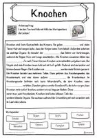 Vorschau - Unterrichtsreihen - Knochen Lückentext mit Wortspeicher Hörverstehen und Suchsel - Seite 1