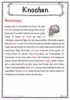 Vorschau - Unterrichtsreihen - Knochen Lückentext mit Wortspeicher Hörverstehen und Suchsel - Seite 2