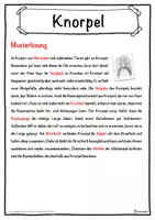 Vorschau - Unterrichtsreihen - Knorpel Lückentext mit Wortspeicher Hörverstehen und Suchsel - Seite 2
