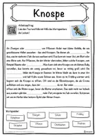 Vorschau - Unterrichtsreihen - Knospe Lückentext mit Wortspeicher Hörverstehen und Suchsel - Seite 1