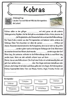 Vorschau - Unterrichtsreihen - Kobras Lückentext mit Wortspeicher Hörverstehen und Suchsel - Seite 1