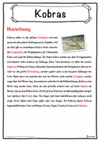 Vorschau - Unterrichtsreihen - Kobras Lückentext mit Wortspeicher Hörverstehen und Suchsel - Seite 2
